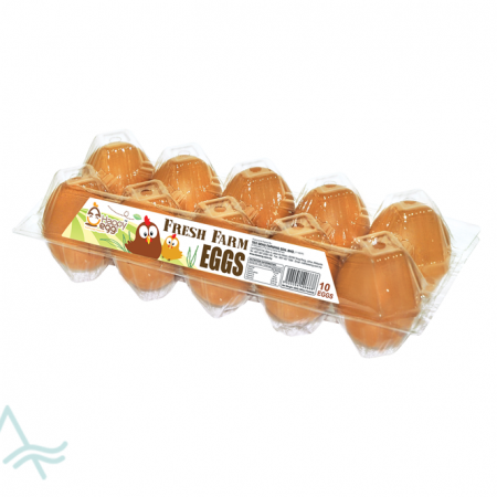 10 FRESH EGGS