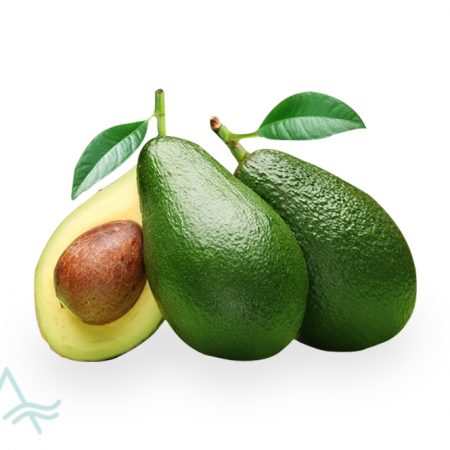 AVOCADO