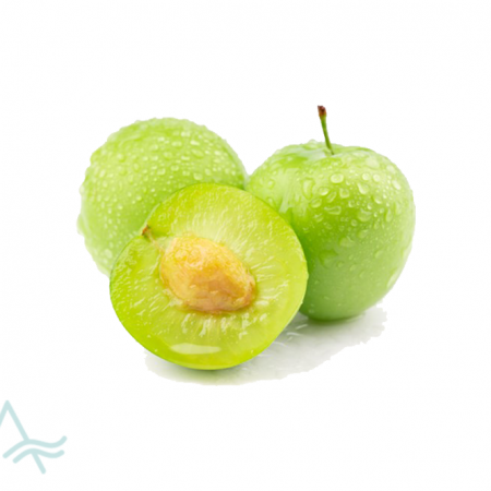 CAN ERIK (GREEN PLUM)