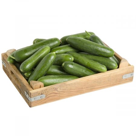 Fresh Cucumber ( Kucuk Salatalik )