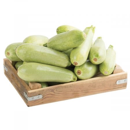 Fresh White Courgette (Beyaz Kabak)