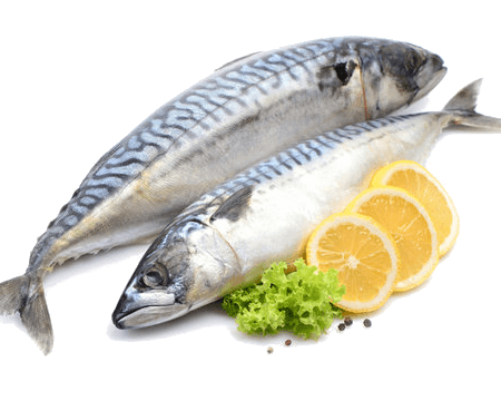 MACKEREL FISH 500-600G