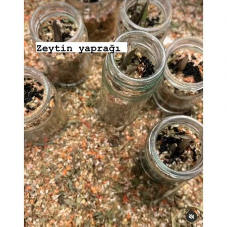 No 35 Urla Cesni Toronto