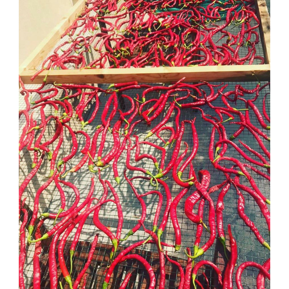 No 35 Urla Kırmızı Kuru Biber (Hot Dried Red Pepper)_6307699aec5a8.jpeg No 35 Urla Kırmızı Kuru Biber (Hot Dried Red Pepper) - Image 1