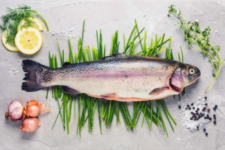 RAINBOW TROUT 500G-600G