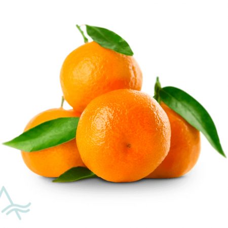 SATSUMA NADARCOST