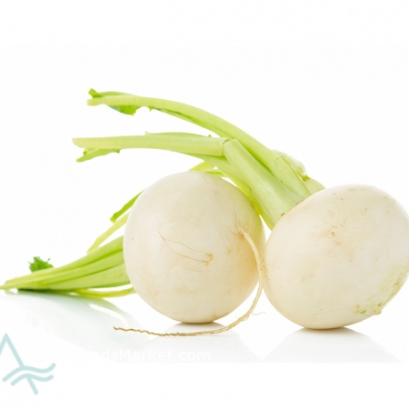 WHITE TURNIP